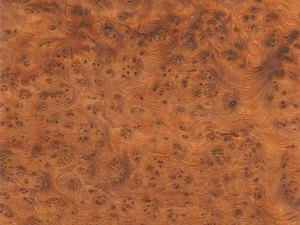 Foto: thuja maser - Link &ouml;ffnet Foto in Originalgr&ouml;sse