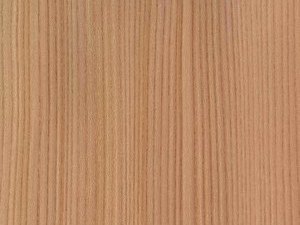 Foto: ulme europ rift - Link &ouml;ffnet Foto in Originalgr&ouml;sse