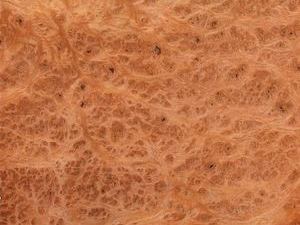 Foto: vavona maser - Link &ouml;ffnet Foto in Originalgr&ouml;sse